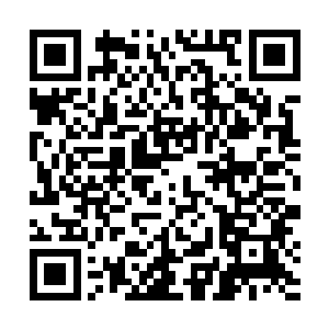 你这新收的小媳妇不过只是继承了她一部分残缺的道统二维码生成