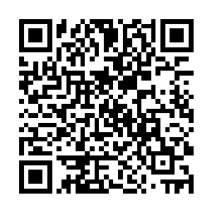 你这样将他们紧紧地抱在怀里可能会促进毒素的发作二维码生成