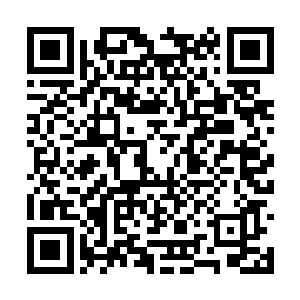 你这样的青年才酷心甘情愿的为东方集团鞍前马后二维码生成