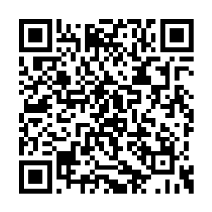 你这模样就像是狂热粉丝在维护自己男神的权益二维码生成