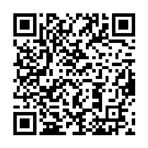 你这次前往中元星系唯一目的就是把许紫烟给我抓回来二维码生成