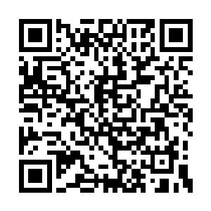 你这次回来的另外一个目的就是想要突破玄元境二维码生成