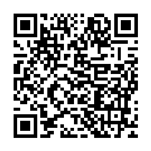 你这次怎么没有派你们药王谷长老殿内的长老来参加丹道大赛二维码生成