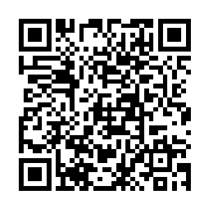 你这次私自动用神国大笔的元灵石购买木灵玉马的事情二维码生成