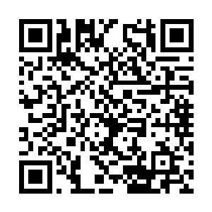 你这种任性的行为会给球队带来什么不良的影响吗二维码生成