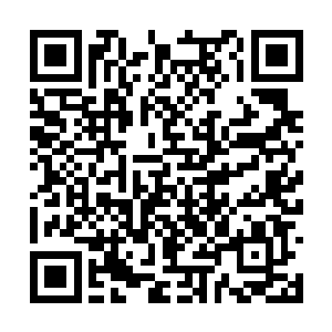 你这种怕死怕疼而且做什么都只会点到即止的废物二维码生成