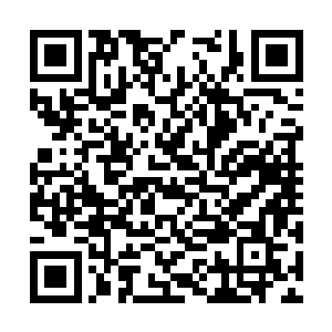 你这般苦苦操着这天下间的起起伏伏又是为了什么二维码生成