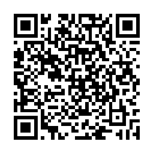 你这让人恶心的话就像你的鹰钩鼻子一样让人讨厌二维码生成