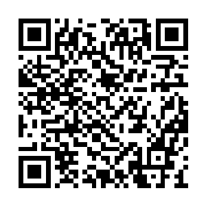 你这话很奇怪诶……为什么非要找我去说服她啊二维码生成