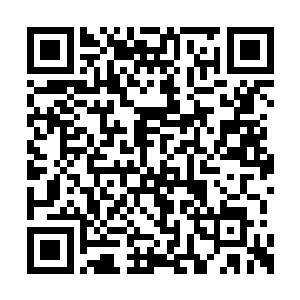 你这辈子还有科莱昂家族必将一直受吉姆的控制二维码生成