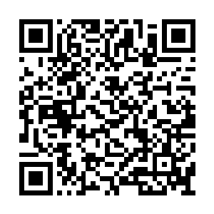 你连海城有个实力这么雄厚的集团公司都不知道二维码生成