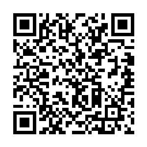 你连起诉凶手维护自身权力的最底要求都无法实现二维码生成