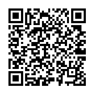 你都不知道我的心情……从曲歌告诉我他要和你求婚那天起二维码生成