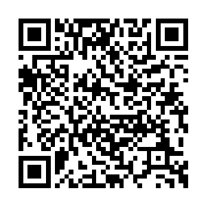 你问到我的弱点了……厨房里的事情我不太擅长二维码生成