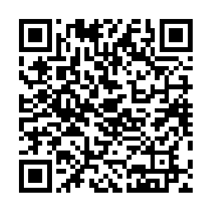 你闹自杀把我从巴黎叫回来就是为了让我说这么一句谎话二维码生成