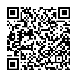 你陪我背可能也是某些人如意算盘中的一一环而已二维码生成