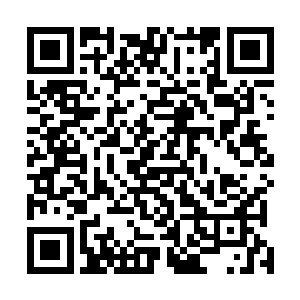 你隔一段时间要以国医外贸的实验室的名义做一两个项目二维码生成