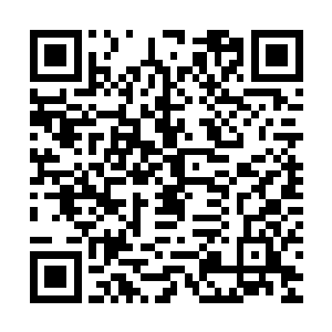 你难道……就不担心我把你以前帮助我做的那些事情告诉苏小爱二维码生成
