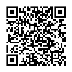 你难道不好奇第二座天书碑的碑文是什么样的吗二维码生成