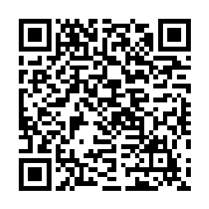 你难道不知道今天的日子对于我们的小阿迪有多么重要么二维码生成