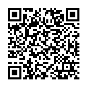 你难道不知道你家欢喜哥从来都不相信这些故事的吗二维码生成