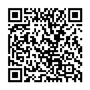 你难道不知道你麾下那些阿修罗在外面做了什么事吗二维码生成