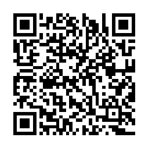 你难道以为你自己真的可以战胜我们两个联手不成二维码生成