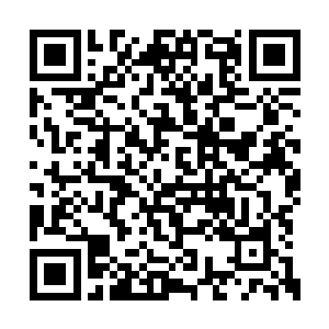 你难道真想让我被清河崔氏的族长使用家法质问二维码生成