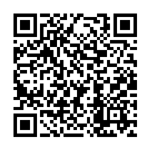 你难道真的打算牺牲掉紫雪去试图吞掉我们家族吗二维码生成