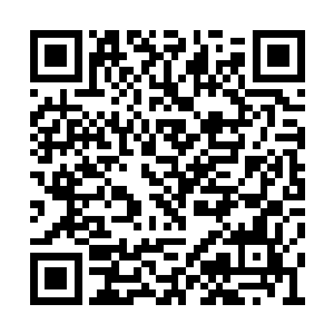 你难道认为我们该开着它去满是反抗军的自由城二维码生成
