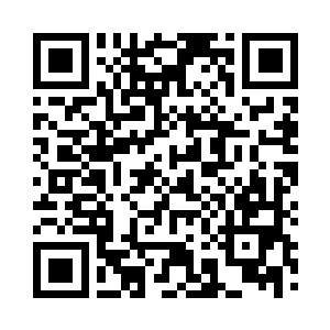 你难道连最基本的境界差距都不懂了吗二维码生成