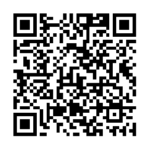 你难道非要将轩辕世家也牵扯进到你的私仇里面吗二维码生成