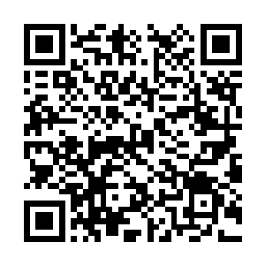 你需要协调羽蛇怪一族和我们华夏的战士一起行动二维码生成