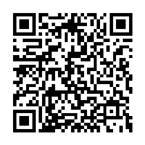 你马上命人去门卫处查看袁嬷嬷今天出门了没有二维码生成