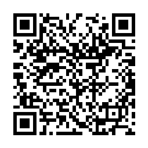 你马上命人把袁嬷嬷所有可能去的地方全部查一遍二维码生成