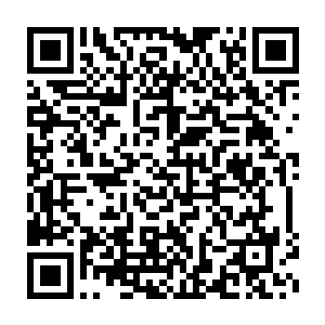 佣兵之城的大长老率领着一些圣皇长老纷纷面带喜悦之色的飞了过来二维码生成