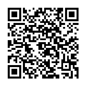 佣兵之城至高神殿内的所有强者都第一时间出现在外面二维码生成