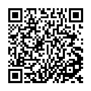 佣兵之城那条禁止打斗的规矩对他来说已经可以视若无物了二维码生成