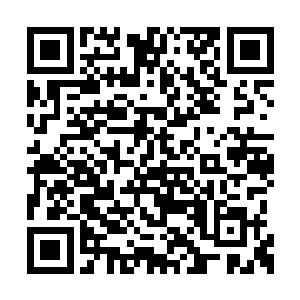 佣兵协会每年从佣兵身上赚到的钱至少超过千亿二维码生成