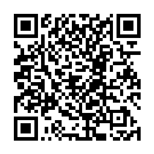 佣兵团的中高层骨干一下子在任务之中折损了四份之一二维码生成