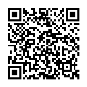 佣兵基本都是没势力的散修为了养家糊口才干的二维码生成