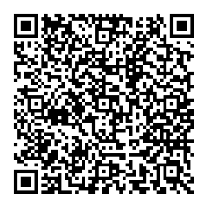 佣兵大会上的武器装备琳琅满目　小到袖珍手枪手榴弹　大到直升飞机坦克　基本上只要你能想的到的东西这里都有　的卖二维码生成
