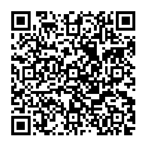 佣兵头目有一股毙了他的冲动――这天杀的该死的软蛋懦夫几乎要害死了他们所有的人了二维码生成