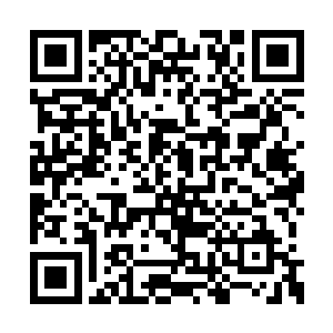 佩戴一个易容秘宝行走星界也不是什么奇怪的事二维码生成