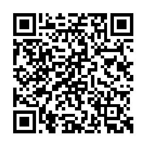 佩莱格里尼也没打算继续在皇家马德里干下去了二维码生成