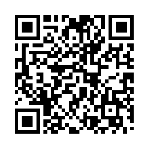 佩莱格里尼看到大家都抬起头来看着自己二维码生成