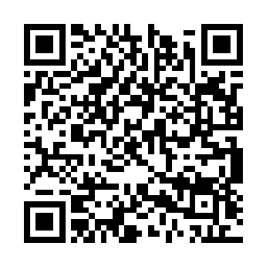 佩里夫等五个城堡的护卫队长带着大批的城堡护卫二维码生成