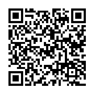 使出全真最具威力的掌法三花聚顶掌法第二式日照江开二维码生成