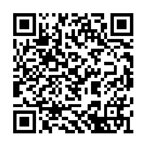 使出那震惊百里的狂狮怒吼便是蓝阶档次的武技二维码生成