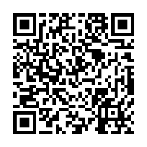使劲剥下面前死者身上还比较完整的衣裤跟外面的破旧袍子二维码生成